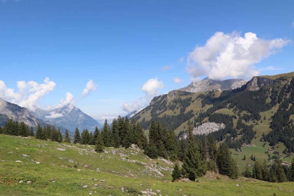 Panorama Griesalp