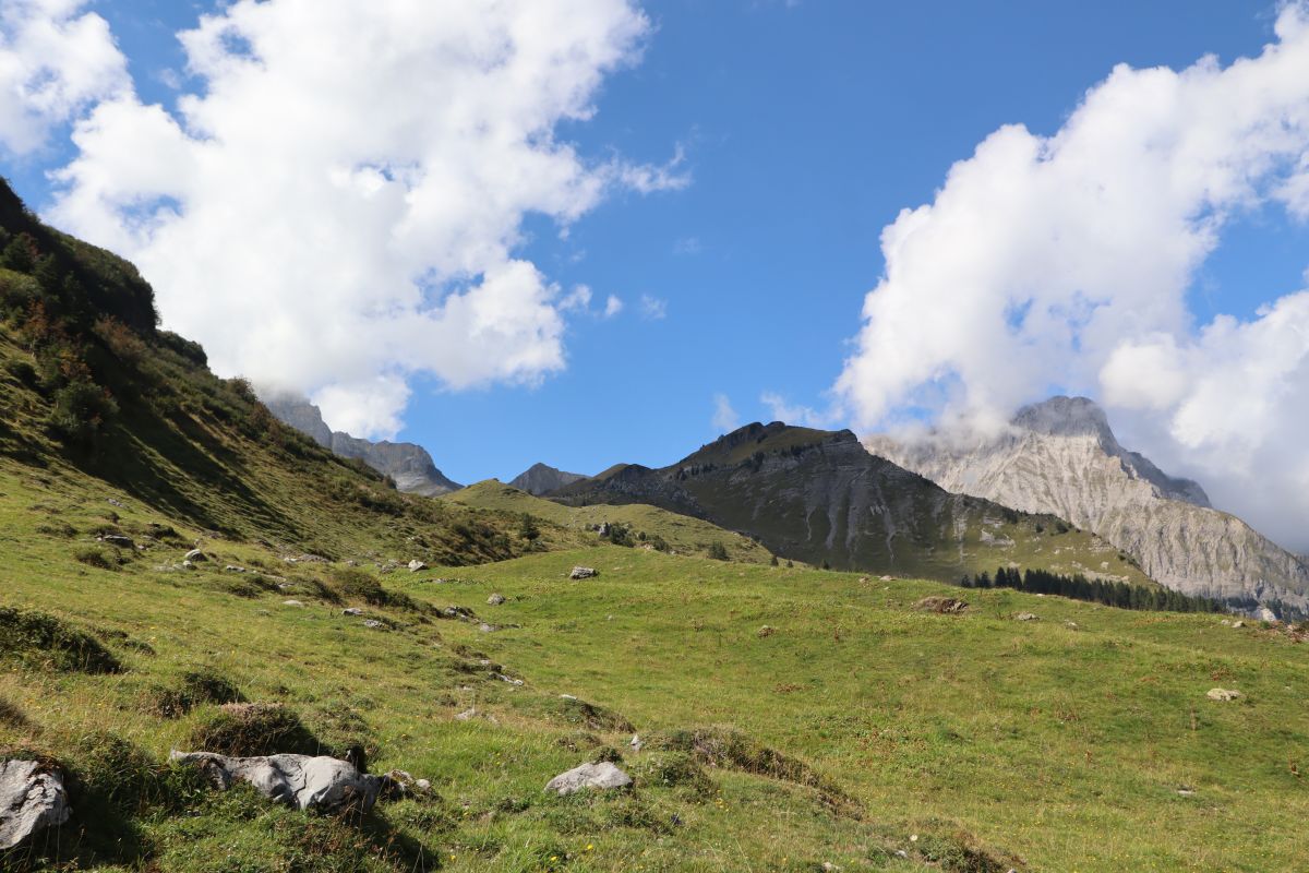 Panorama Griesalp