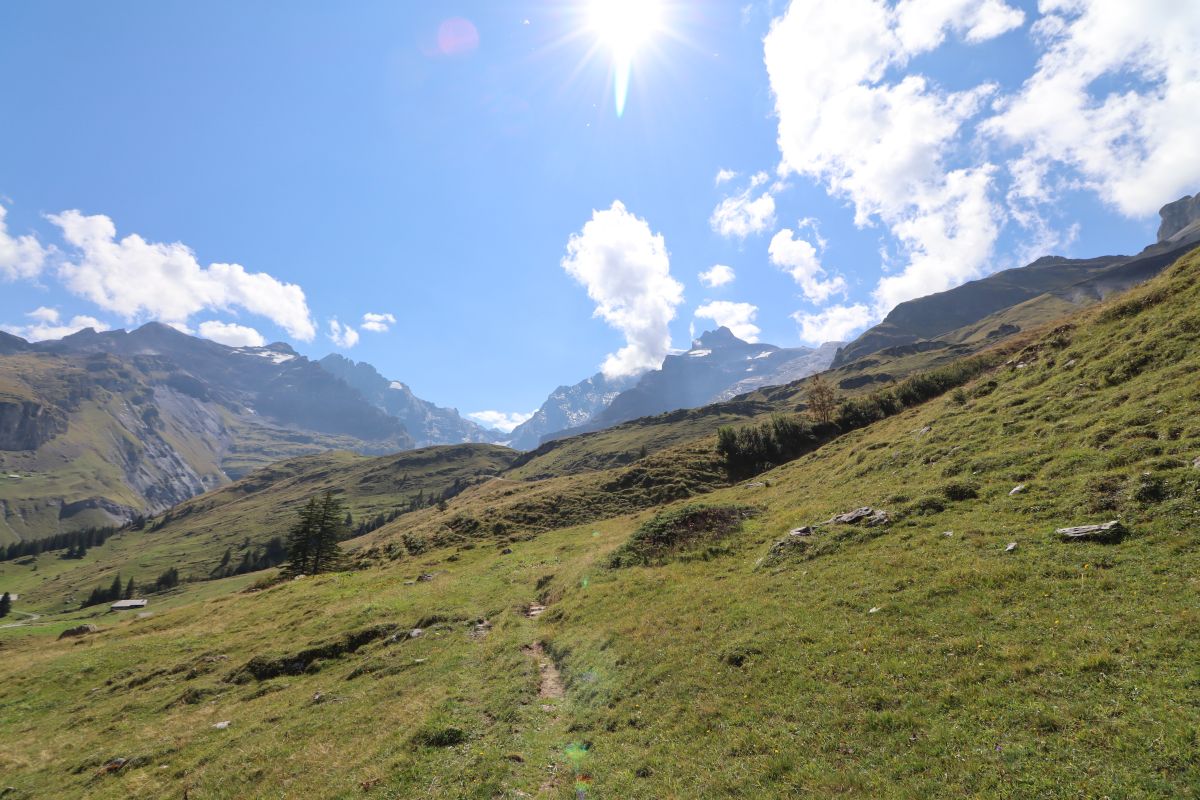 Panorama Griesalp