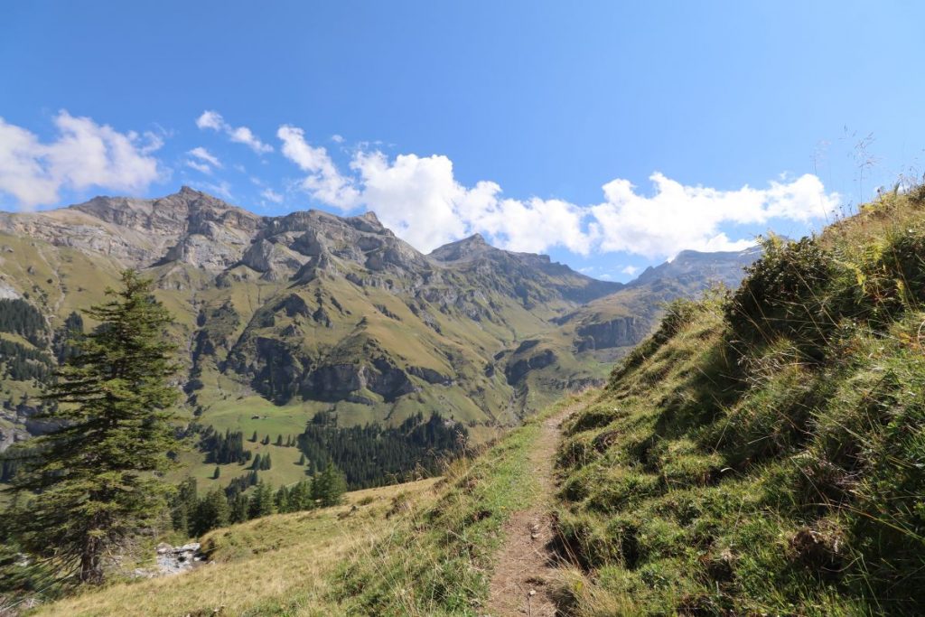 Panorama Griesalp