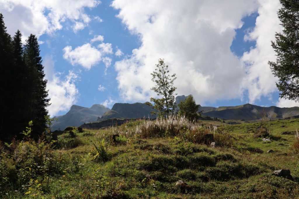 Panorama Griesalp