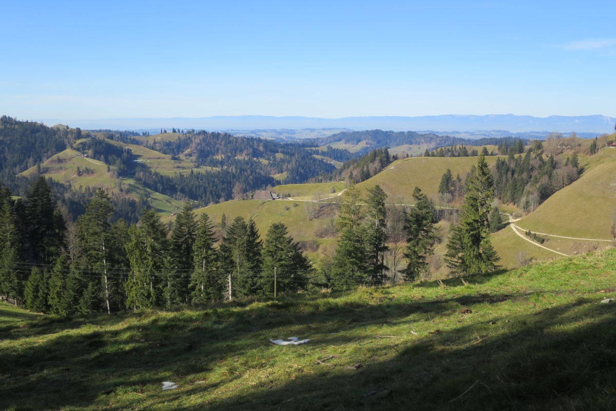 Brestenegg mit Aussicht