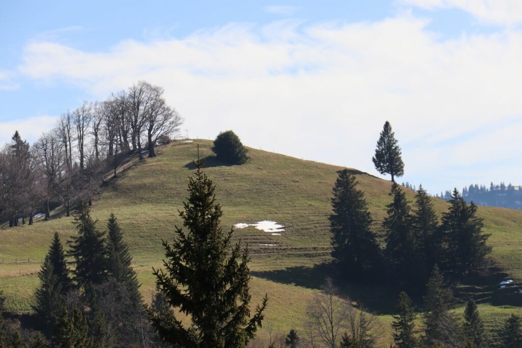 Brestenegg