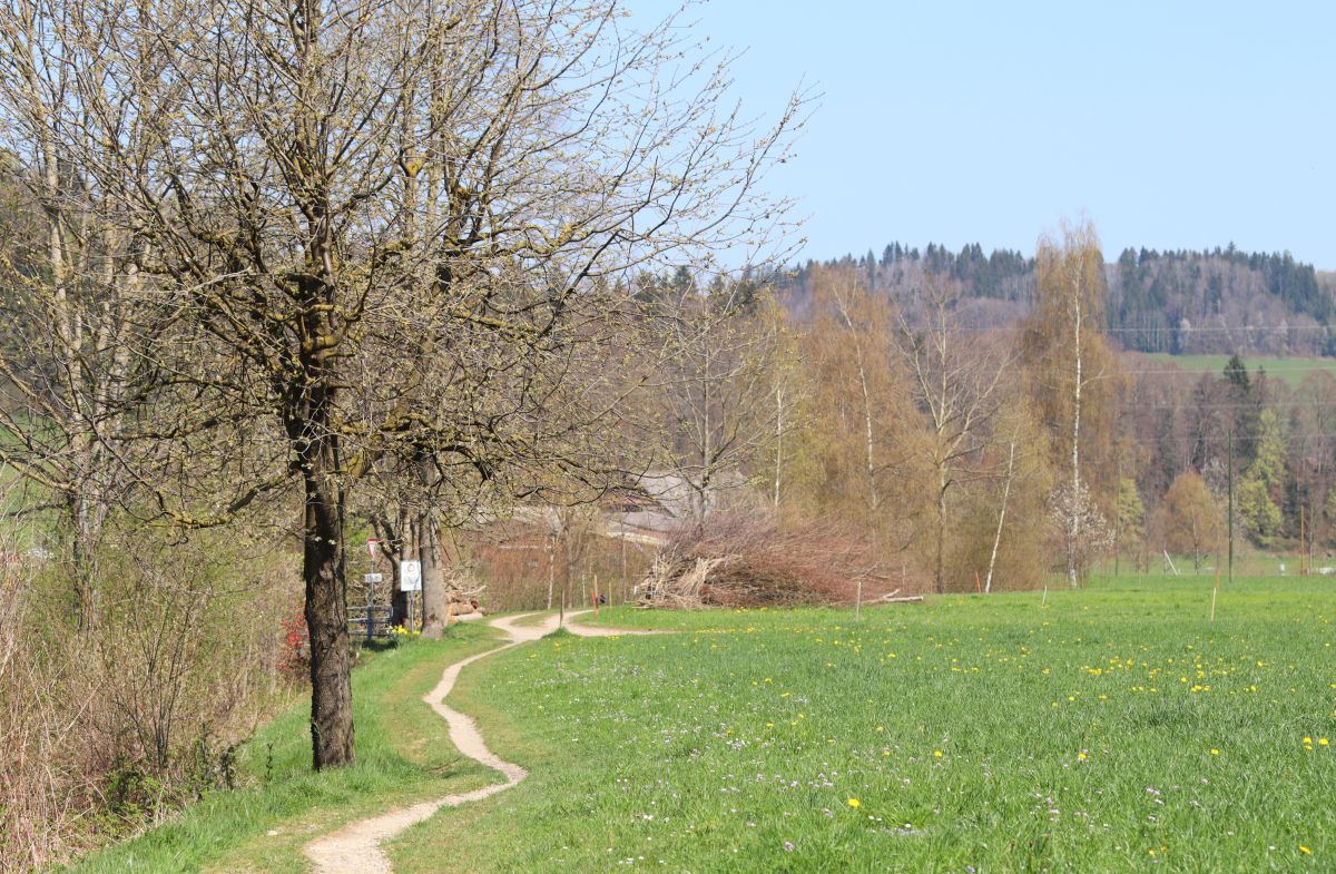 Chrüterhäxli Lilli Gwonderwäg