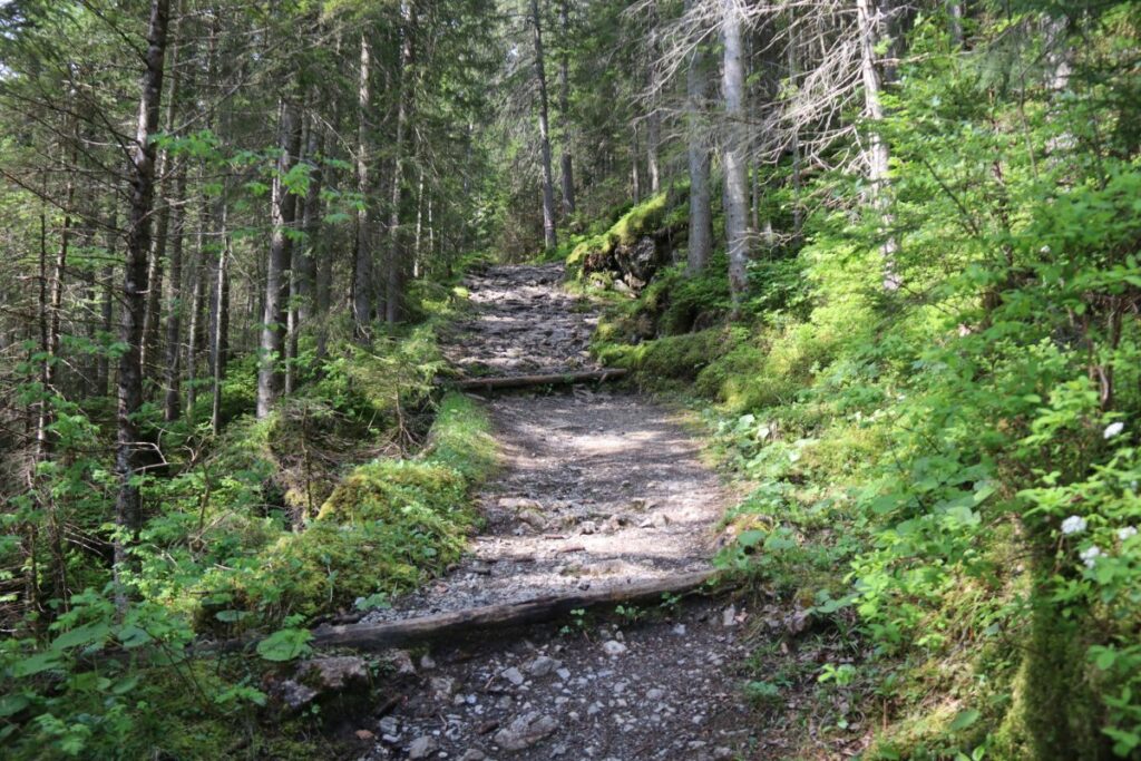 Sulwald - Wanderweg durch den Wald