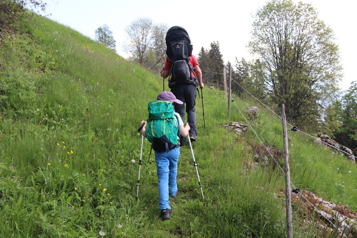 Familie wandert auf Wiese