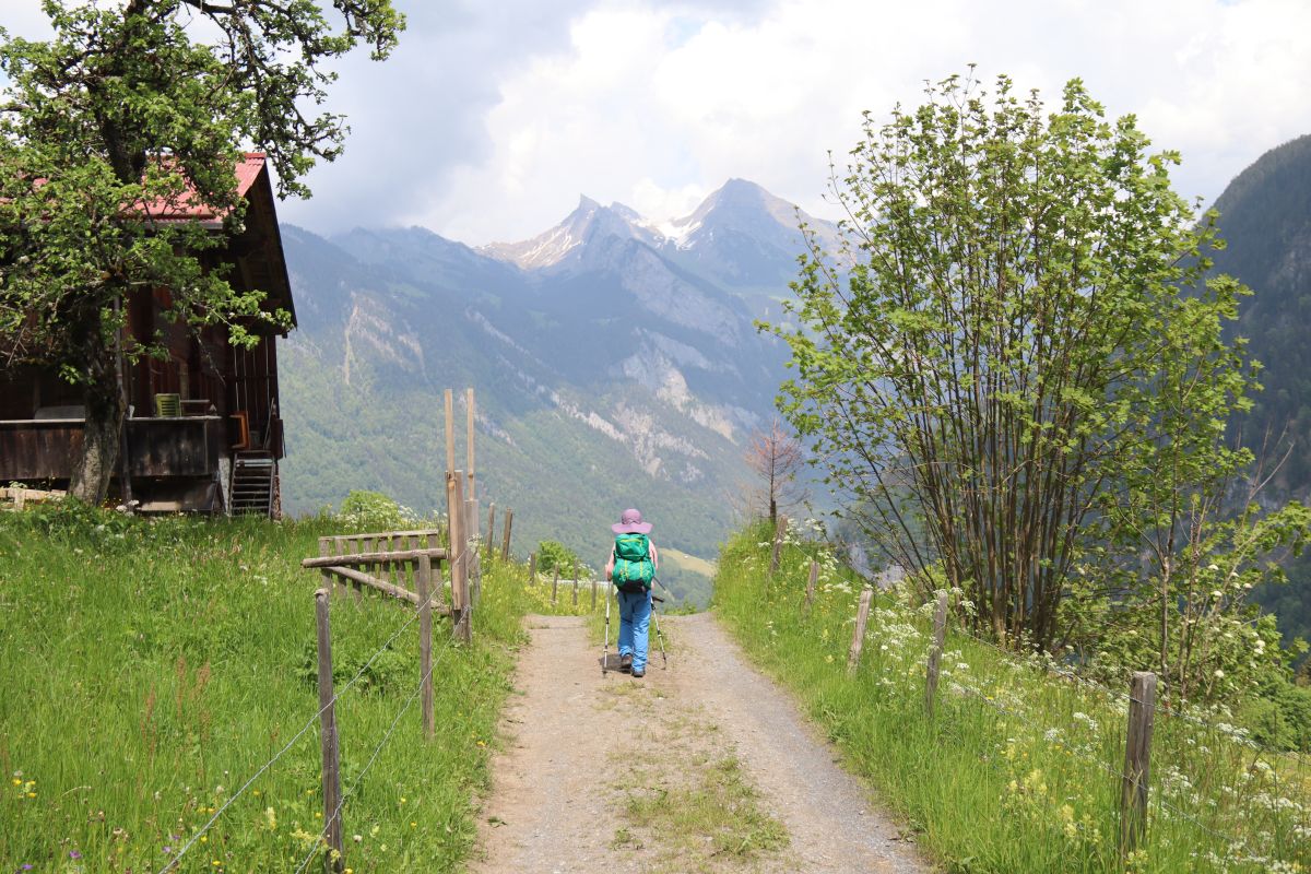 Maxi Zmimeli blickt auf Sulwald