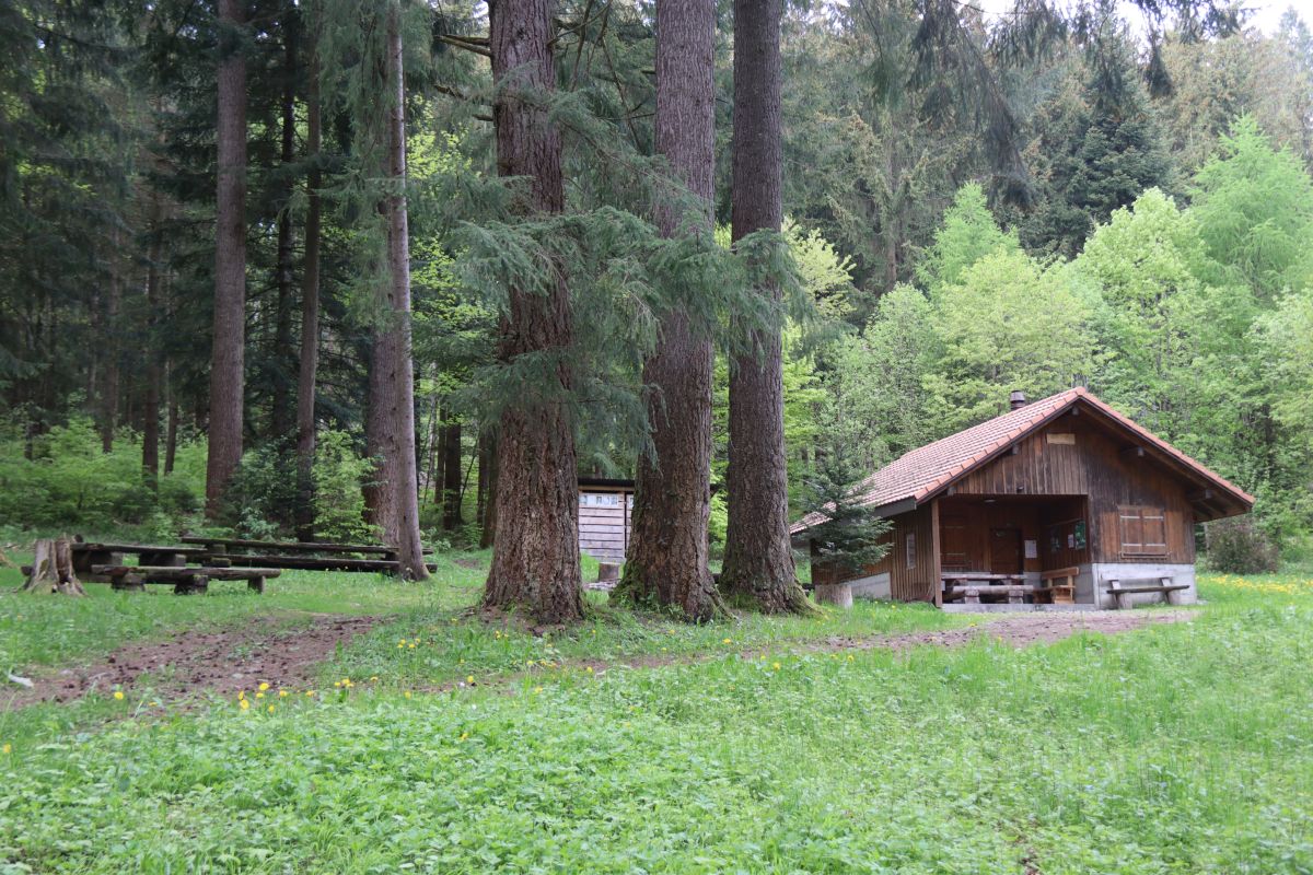 Brätlistelle Nr. 7