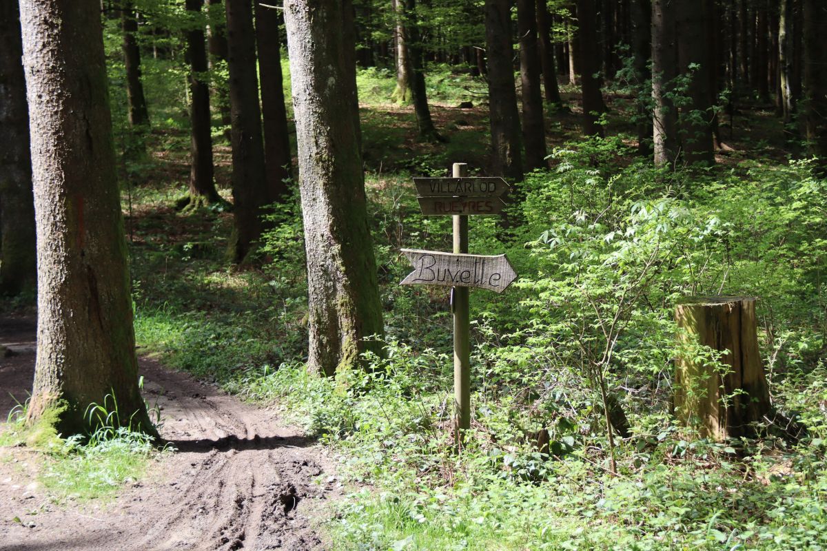Tour du Gibloux