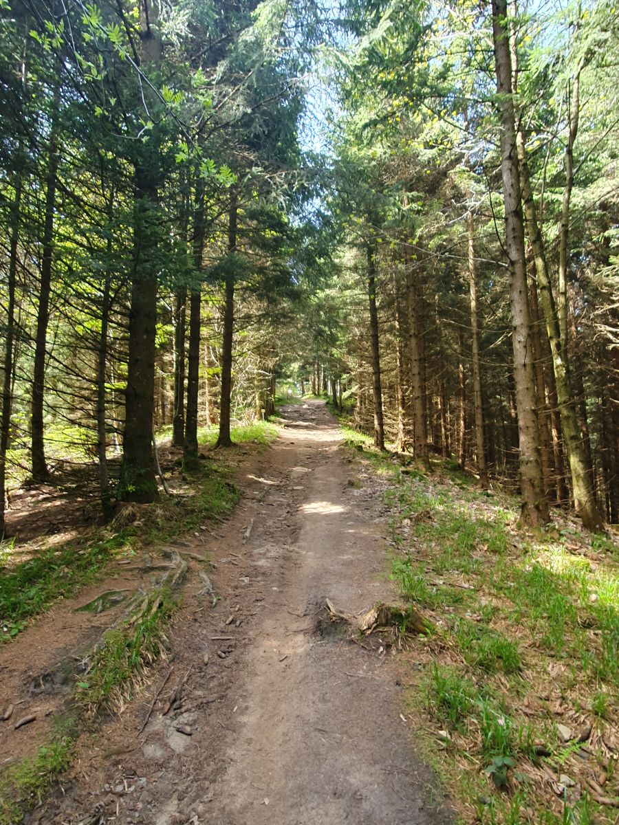 Tour du Gibloux