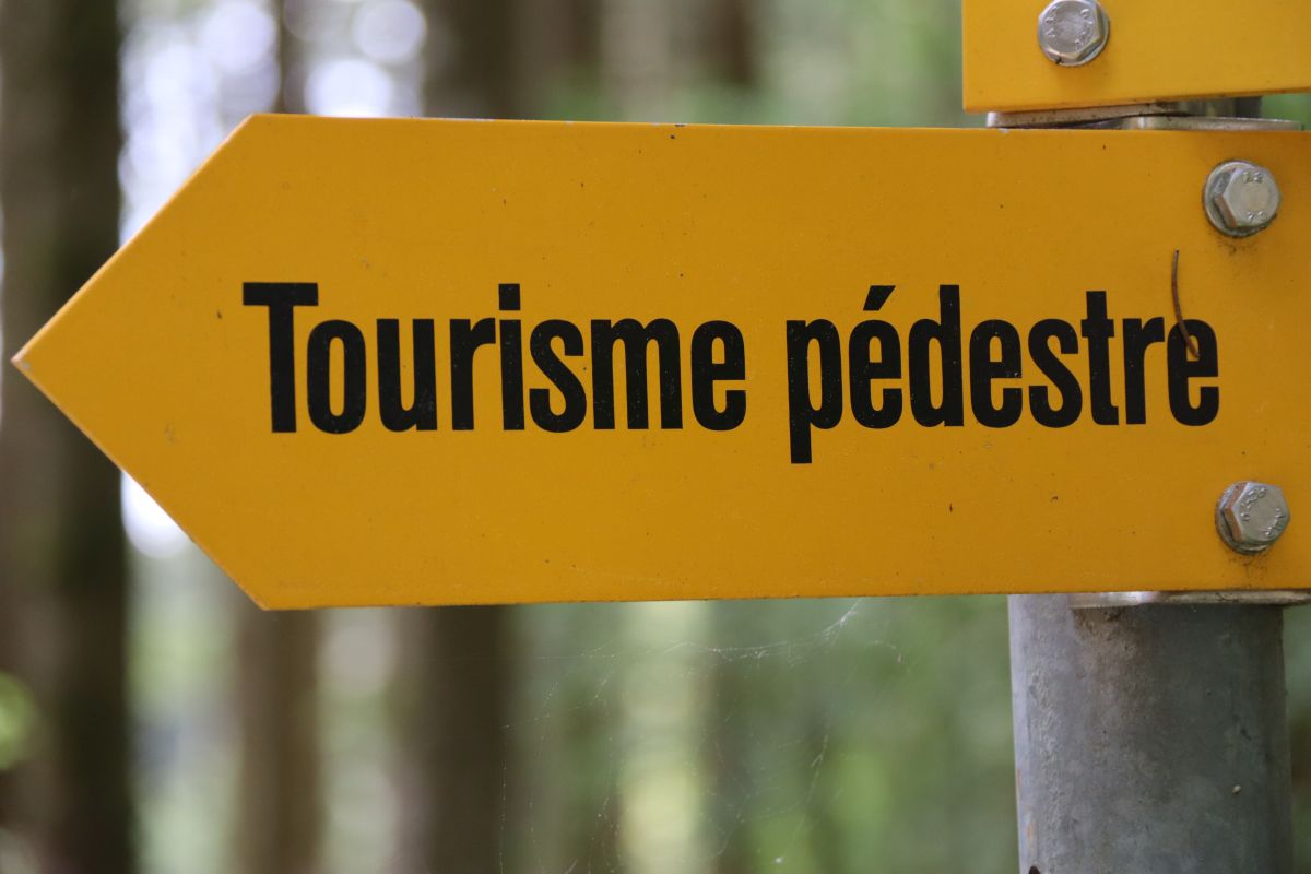 Tourisme pédestre