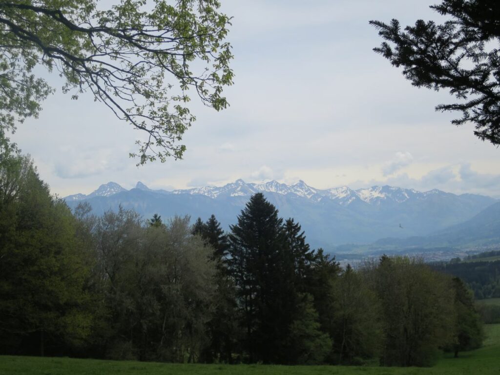 Aussicht aufs Greyerzerland