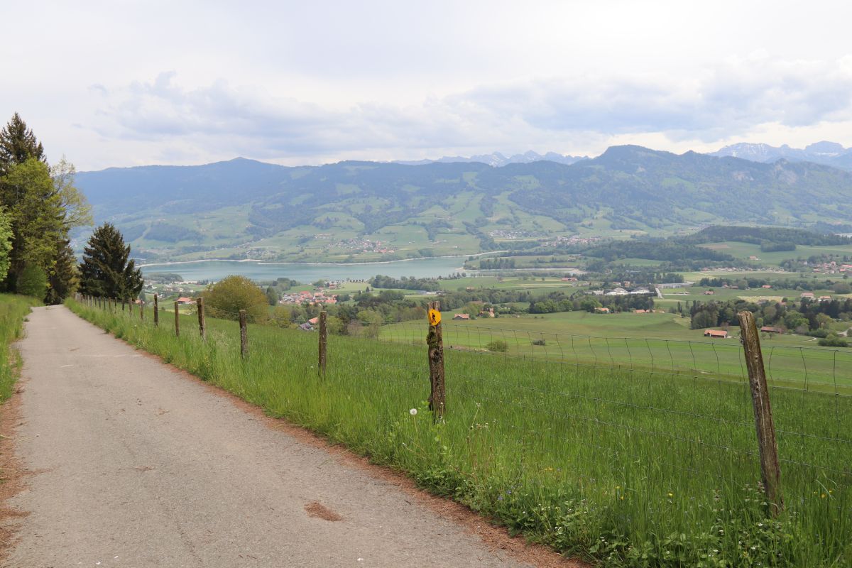 Aussicht aufs Greyerzerland