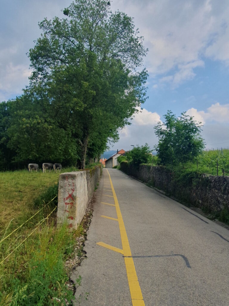 Boudry: Weg zur Areuse Schlucht