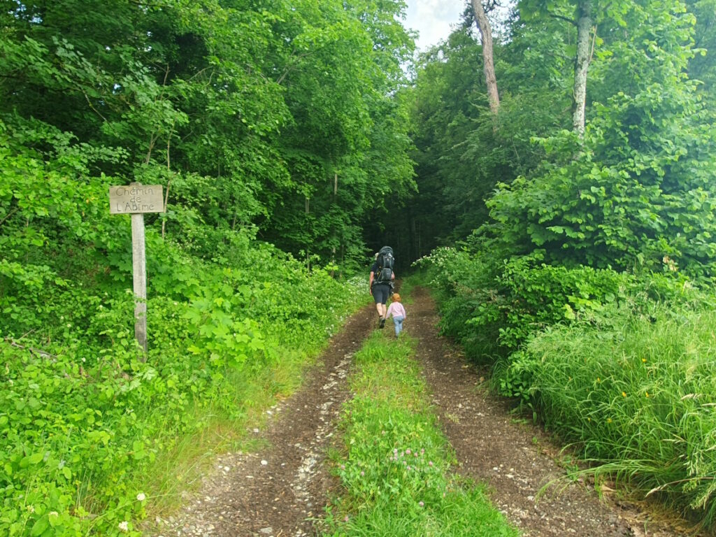 Boudry Waldstück bei Areuse Schlucht