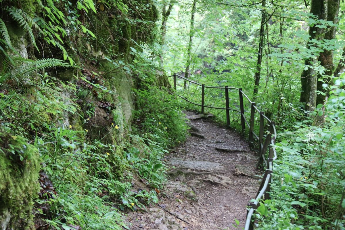 Areuse Schlucht: gut gesicherter Weg