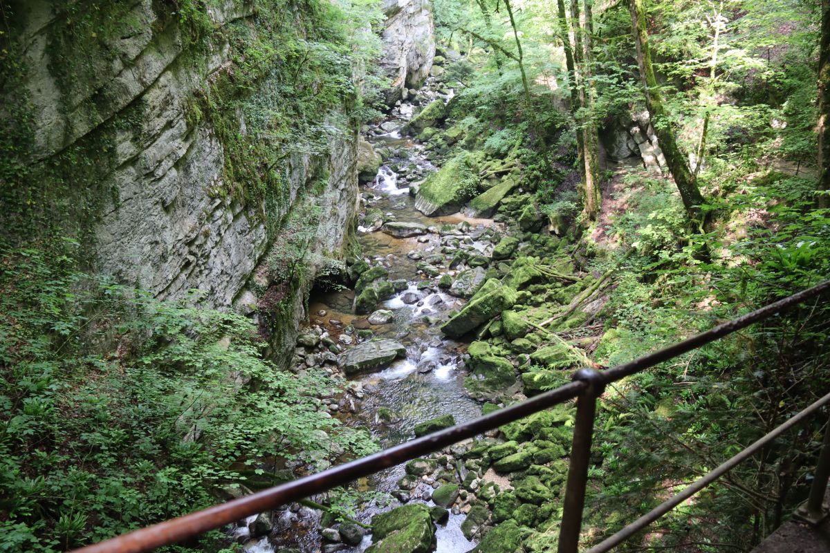 Blick in die Areuse Schlucht mit Geländer