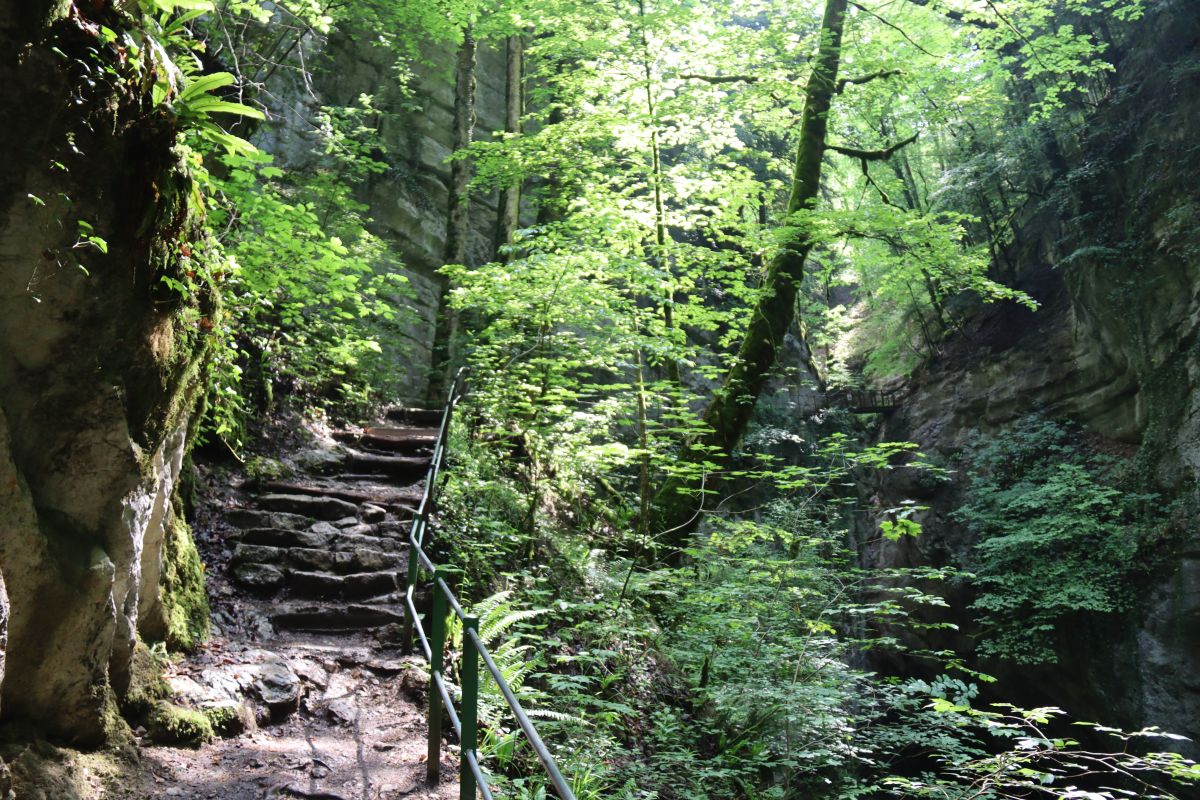 Treppe in der Areuse Schlucht mit hellem Licht