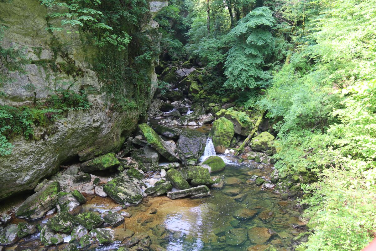 Die Areuse inmitten von grünen Bäumen und Felsen