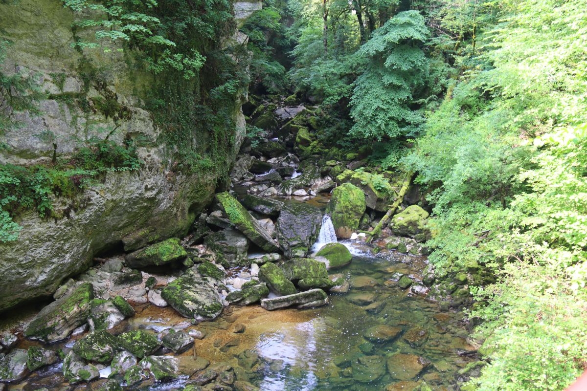 Die Areuse inmitten von grünen Bäumen und Felsen