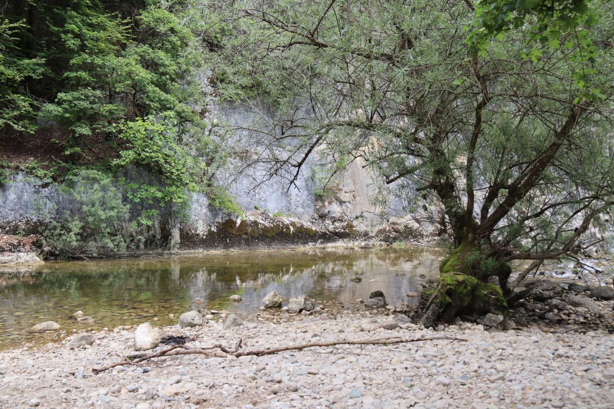 PIcknickplatz bei Chute de la Verrière