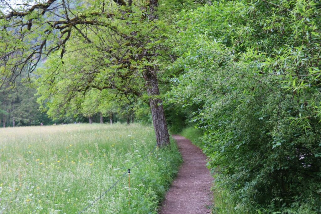 Weg nach Noiraigue an der Areuse