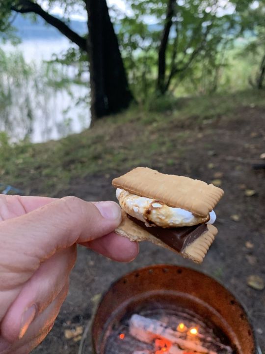 Vier im Bus Gastartikel - S'Mores